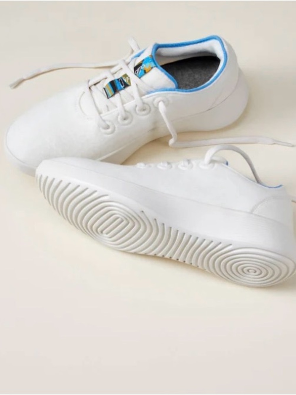 allbirds White Wool Runners with Blue Trim